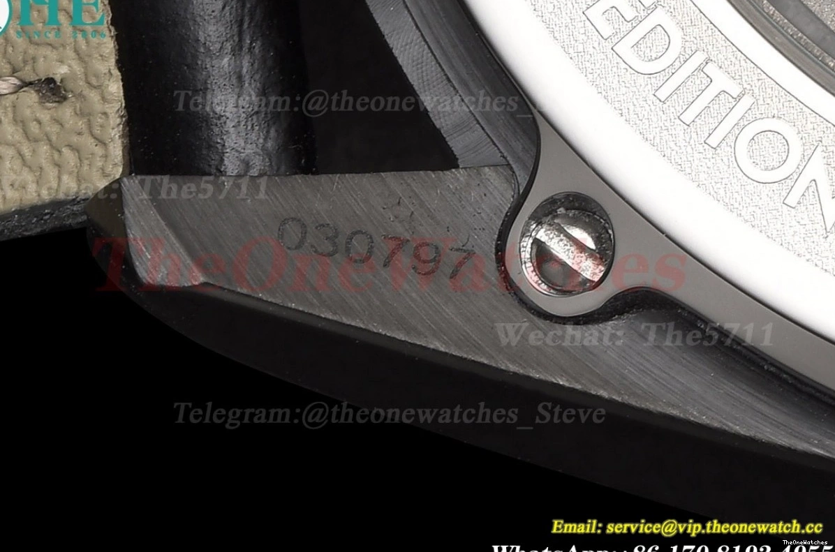 PVD Gradient Seamaster Blue Dial GDF 41mm MY8215 LE 0311